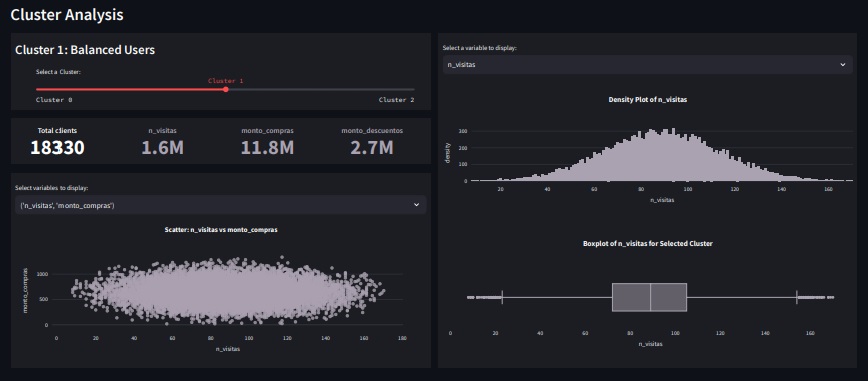 Customer Segmentation Dashboard